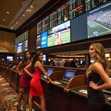 sporte bet